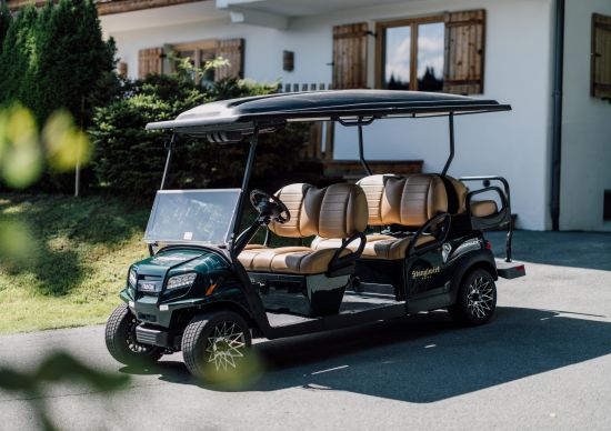 SW_Golfcart©SkylineMedien-8
